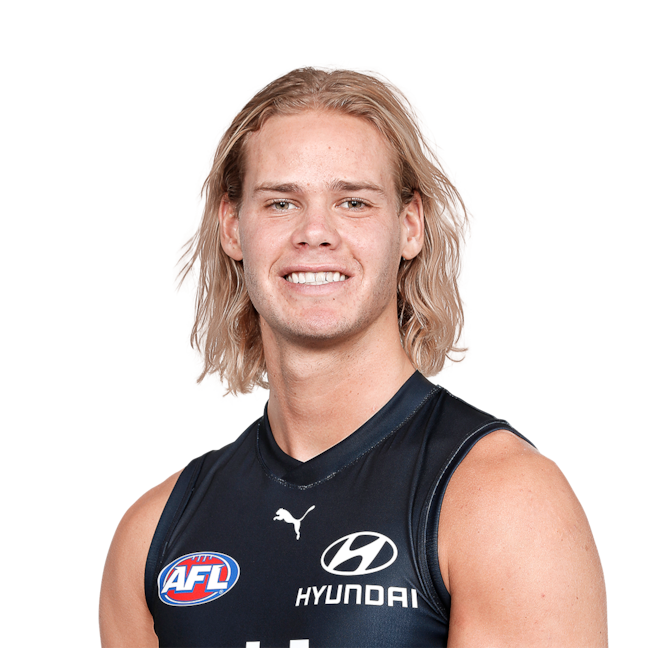 Tom De Koning profile picture